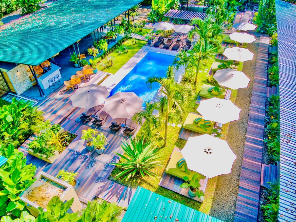 Exotico Beach Hotel Puerto Viejo de Talamanca المظهر الخارجي الصورة