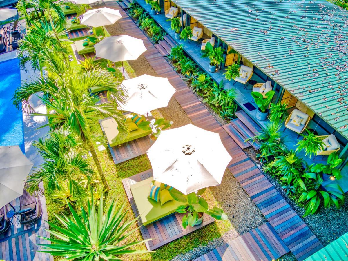 Exotico Beach Hotel Puerto Viejo de Talamanca المظهر الخارجي الصورة