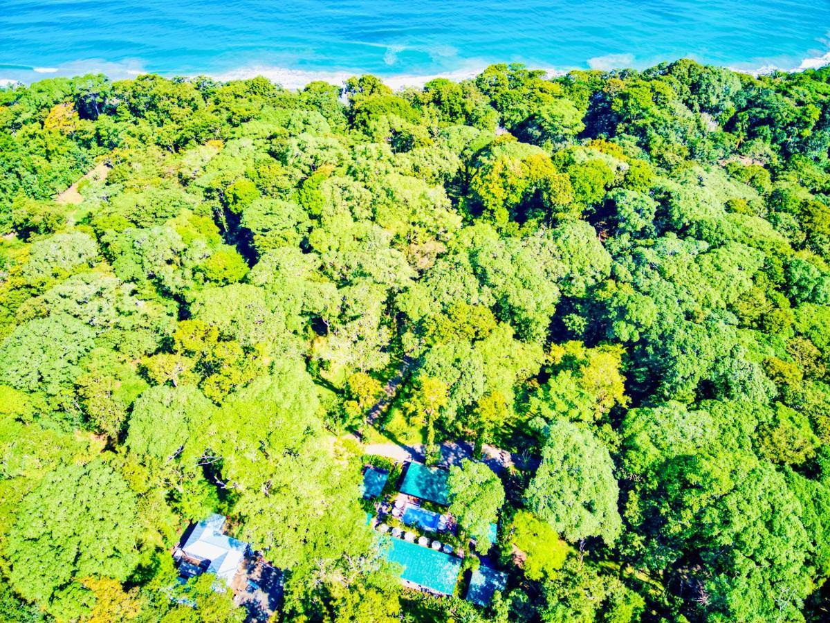 Exotico Beach Hotel Puerto Viejo de Talamanca المظهر الخارجي الصورة